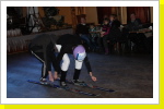 Klicken Sie auf das Bild, um es zu vergrößern